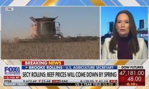 Brooke Rollins with wheat field 