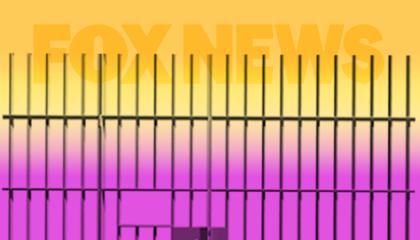 Fox News prison yellow and purple image
