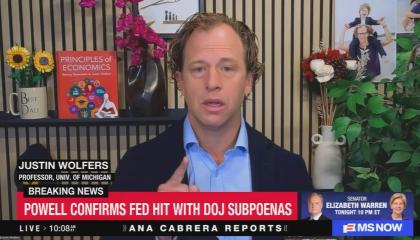 University of Michigan economist Justin Wolfers on MS NOW