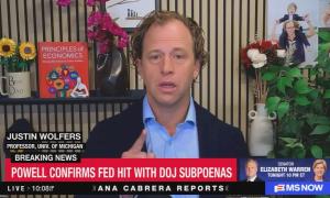 University of Michigan economist Justin Wolfers on MS NOW