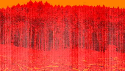 National TV news coverage of devastating western U.S. and Canadian wildfires rarely connected them to climate change