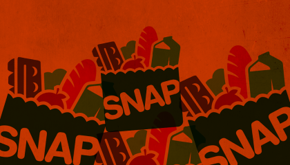 Paper bags with food with "SNAP" written on them