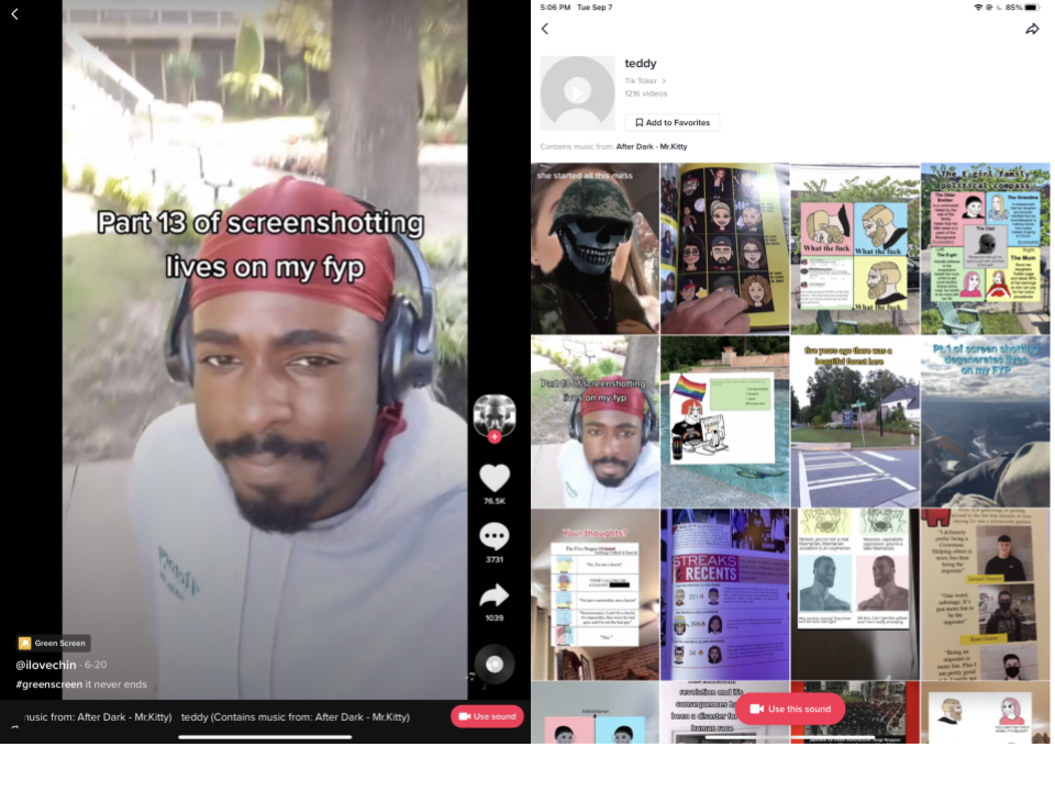 image of tiktoks with certain tiktok sound