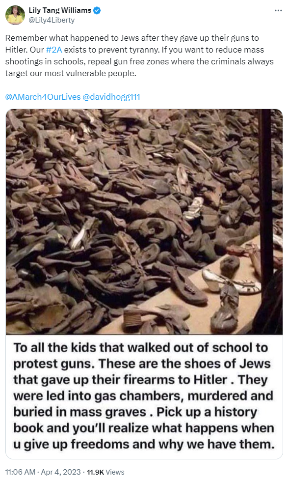 Lily Tang Williams gun control 1